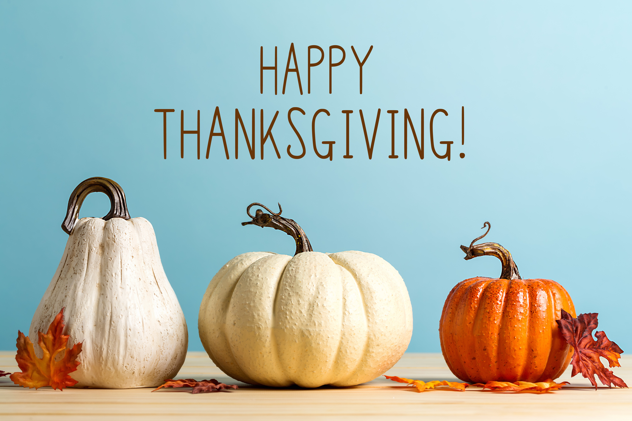 Happy Thanksgiving  Cuyahoga Land Bank