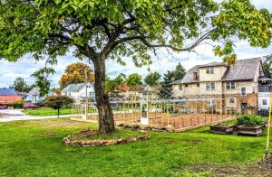 Cultivating Life: Transforming Vacant Properties into Urban Gardens